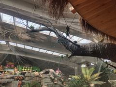 -南宫五洲植物乐园