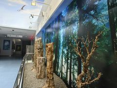 -延庆地质公园博物馆