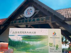 -上海海湾国家森林公园