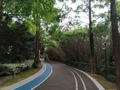 -苏州河梦清园环保主题公园