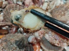 -锅老头海鲜铁锅炖