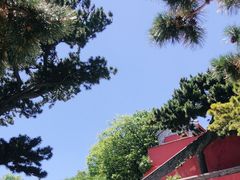 -妙峰山风景名胜区