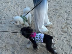 -碧桂园十里银滩