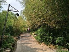 -竹泉村旅游度假区