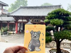 -灵谷景区