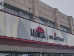 -车艺尚上海龙膜隐形车衣汽车贴膜旗舰店