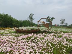 -同里国家湿地公园
