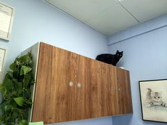 -纳吉亚猫专科动物诊疗中心(蒋宅口分院)