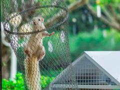 -梅州天地人花园酒店(梅县人民广场店)