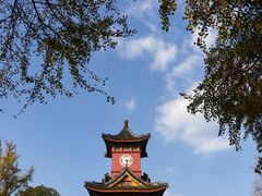 -四川大学(华西校区)