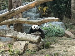 -宁波野生动物园