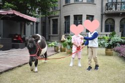 -悦子阁月子会所