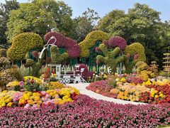 -上海共青森林公园