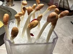 -芸山季·云南野生菌火锅(宝能环球汇店)