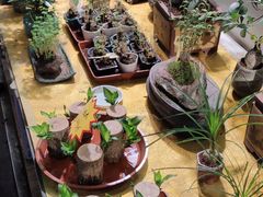 -花鸟鱼虫鲜花绿植市场(玉泉路店)