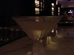 dry&nbsp;martin-LONG BAR 廊吧(外滩华尔道夫酒店)