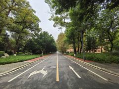 -四川大学(望江校区)