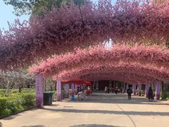 -南汇桃花村