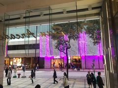 -DFS迪斐世(香港广东道店)