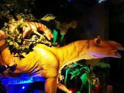 -恐龙探索乐园(磁器口店)