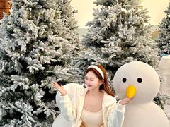 -汕头中海黄金海岸水上乐园