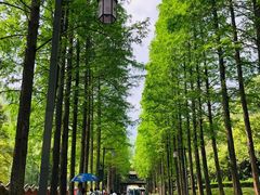 -青城山