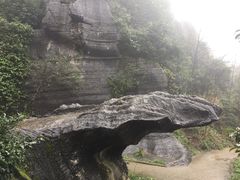 -梦幻奥陶纪景区