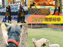 -郑州银基黄帝宫御温泉