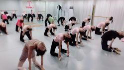 -艺佳舞蹈培训学校