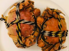 -金茂君悦·食在56海鲜自助餐厅ON56