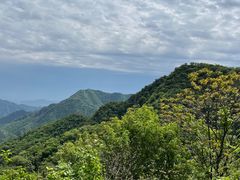-大岭沟猕猴桃谷风景区