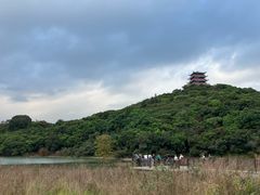 -清溪大王山森林公园