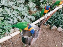 -南宫五洲植物乐园