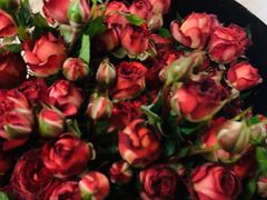 -中国移动(望京营业厅)