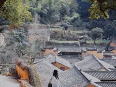 -杨家堂村