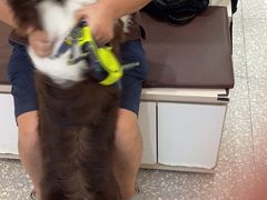 -宠物家(角门东店)