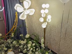 -觅糖派对·宝宝宴生日宴一站式派对策划(河西店)