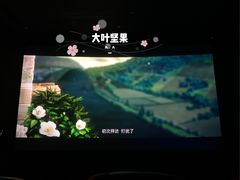 -银河电影城(中国巨幕斗门店)