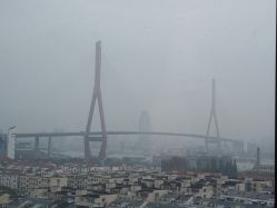 -复旦大学附属妇产科医院(杨浦院区)