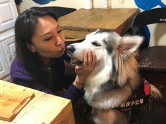 -李小姐の猫咖啡馆(五角场店)