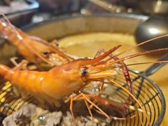-琥珀川糟粕醋火锅(慈云寺店)
