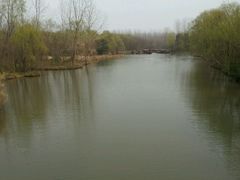 -溱湖国家湿地公园