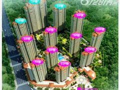 -中南·世纪锦城