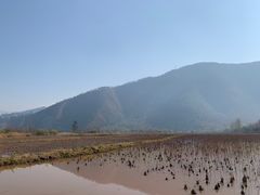-西昌邛海湿地