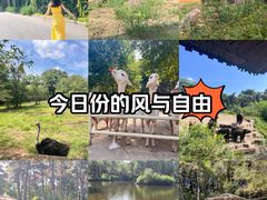 -沈阳森林动物园