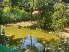 -西霞口神雕山野生动物世界