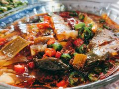 -照金特色农家乐