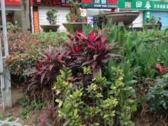 -福州火车站(地铁站)