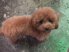 -赢吧Bliss音乐酒吧