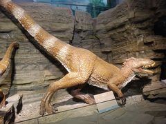 -辽宁古生物博物馆